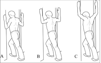 The Trust - BASIC SHOULDER CARE